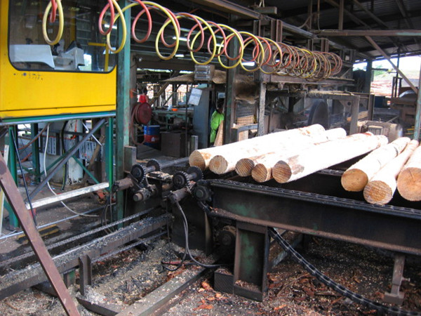 Green laser line generator for sawmill